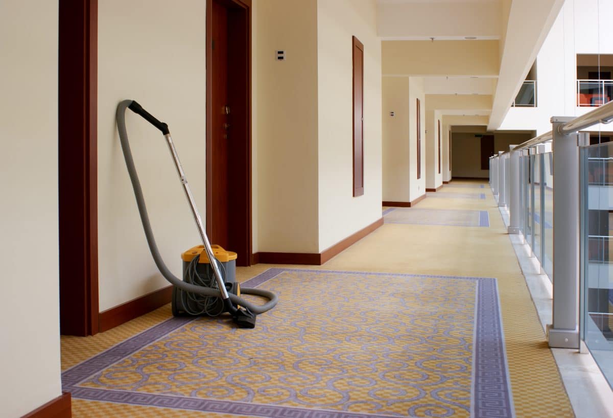 Why Professional Carpet Cleaning is Superior to DIY Rentals